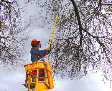 Sierra de cadena hidráulica Pole Saw