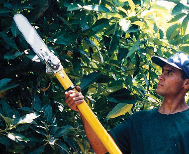 Sierra de poste hidráulica con mango no conductor