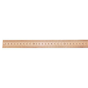 Ex1601 Non-Sparking, Non-Magnetic Ruler